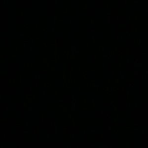 Meet your Posher, Francesca